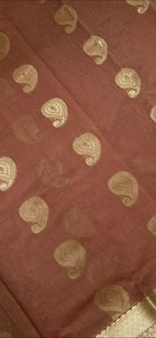 Peach Silk Cotton Saree Gold Paisley - Double shade